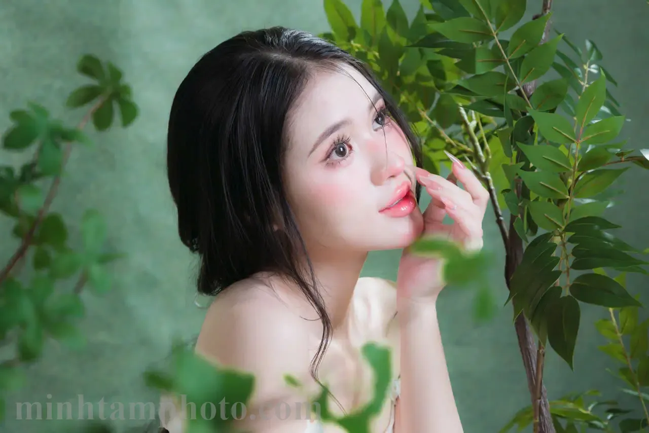 Concept Nàng Sen &#8211; Studio